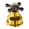 Delphi - mink/gold - .952